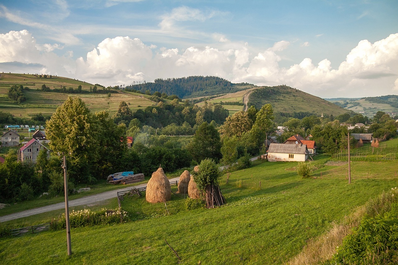 Village Visits